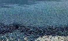 冷链物流园区装卸区道路修补冷拌沥青抗裂性如何 耐磨性如何