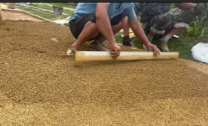 生态素土路面的防滑性到底如何，下雨天会不会打滑？它抗老化的能力咋样，能用多久？