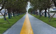 现浇金刚盲道翻新频率低吗？季节适应性（冬季施工/夏季施工）强吗？